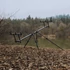 Kép 2/8 - Forge Speci Pod 2-3 Rods bottartó állvány