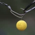 Kép 5/5 - Korda D-Rig Kickers Brown speciális horogbefordító 